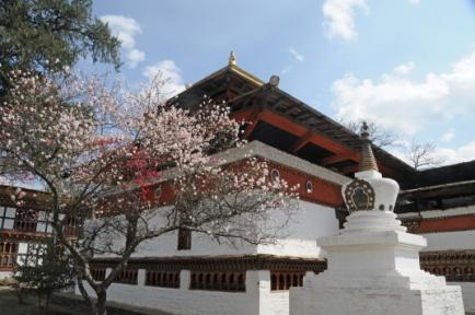Padmasambhava (Guru Rimpoche) è ancora oggi ritenuto colui che introdusse il buddismo nel Bhutan ed è adorato pubblicamente