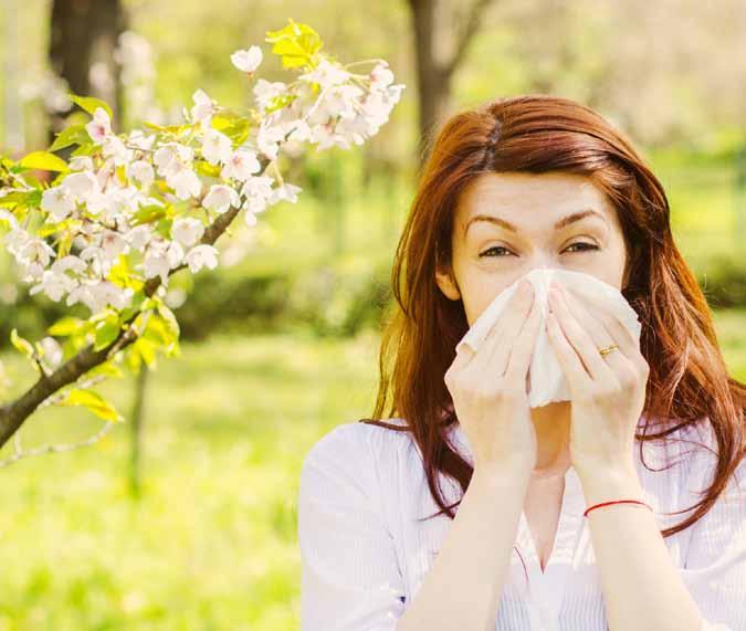 RETE ANTIPOLLINE PER ZANZARIERA linea avvolgente linea rigida La zanzariera antipolline è una zanzariera con telo antipolline, il cui spessore essendo di 0,29 mm è adatto a filtrare i pollini sospesi