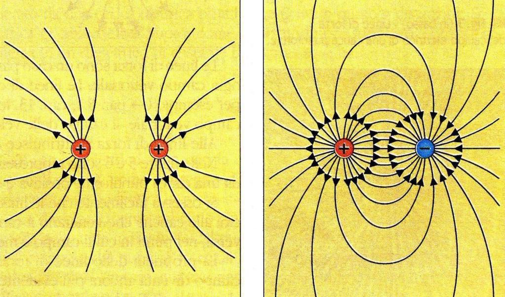 Campo elettrico Per rappresentare un campo elettrico si