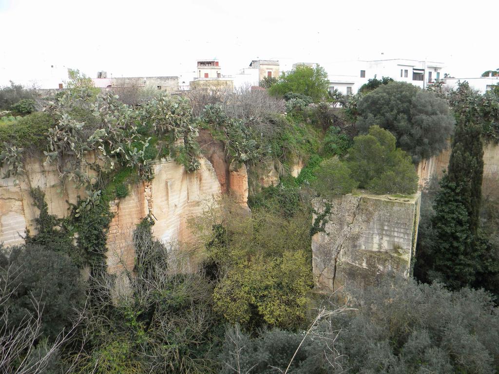 Il Patrimonio e le emergenze geologiche del territorio comunale di Lecce 20 e 21 aprile 2018 Sala Conferenze ex Convento dei Teatini Via Vittorio Emanuele II,