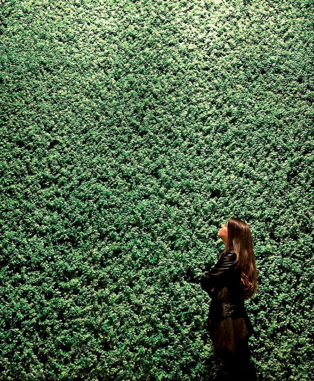 Green Living Wall Tech Wall Parete vegetale