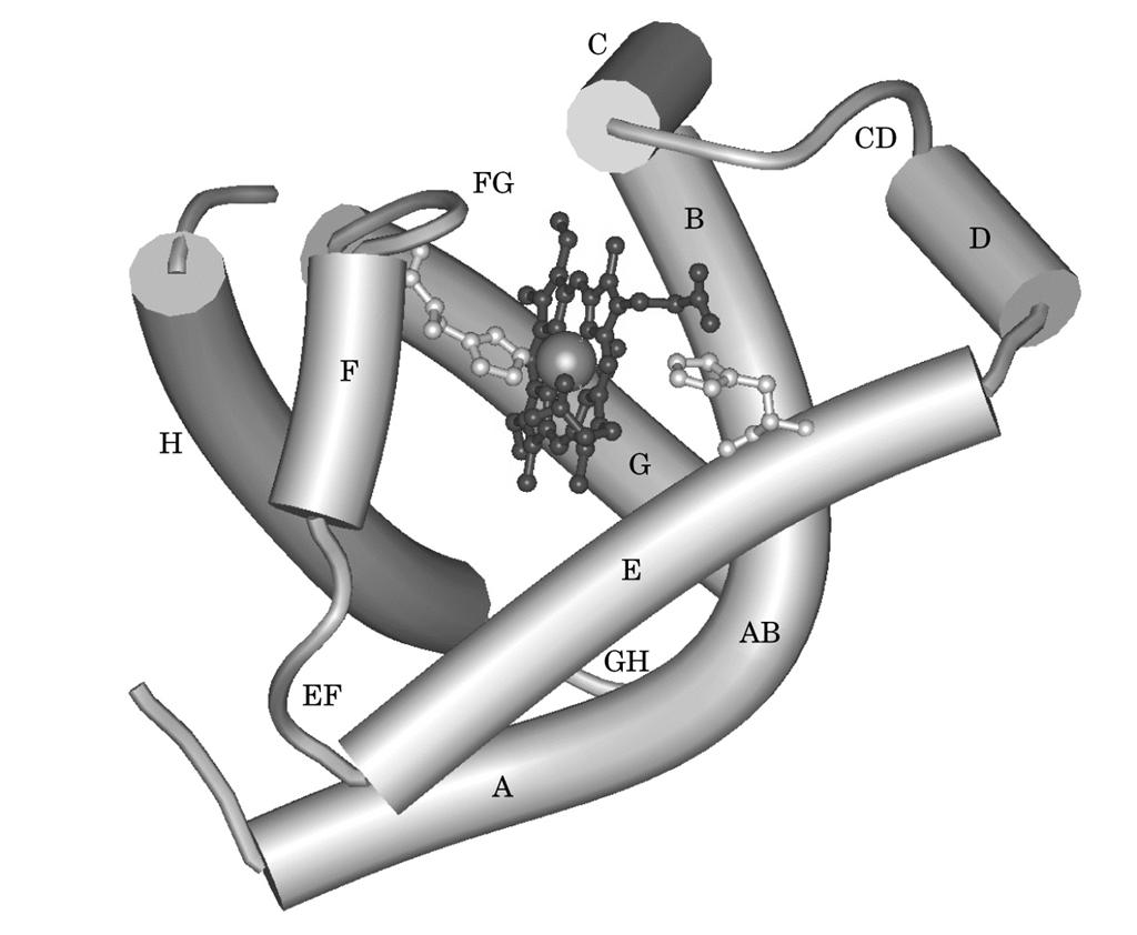 EME (Fe-PROTOPORFIRINA IX)