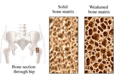 barriera placentare ed è stato