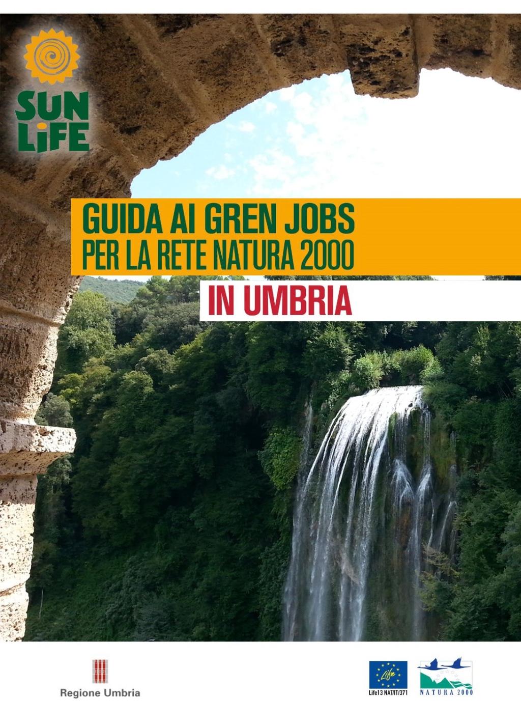 Professioni verdi Rapporto di analisi delle professioni verdi e dei posti di lavoro collegati alla RN2000 4 Workshop nelle scuole con la partecipazione di 165 studenti e 33 insegnanti Un