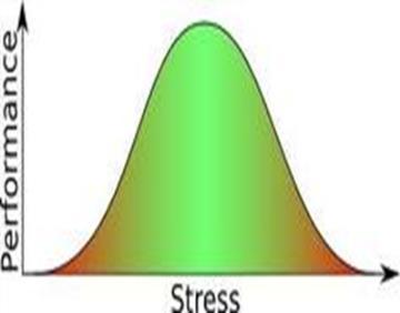 METODOLOGIA PER LA VALUTAZIONE DEI RISCHI DA STRESS LAVORO-CORRELATO La valutazione del rischio stress lavoro-correlato è stata effettuata secondo il seguente percorso metodologico: Individuazione