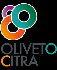 COMUNE DI OLIVETO CITRA Provincia di Salerno AVVISO CIG 6726540468. Procedura di gara per l appalto del servizio di tesoreria comunale per il periodo 01.01.2018 31.12.