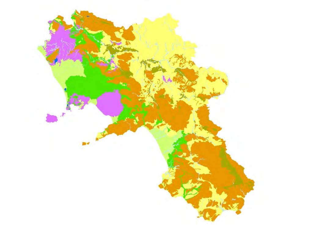 Complessivamente i livelli di sostanza organica nei suoli della Campania possono valutarsi mediamente più alti rispetto ad altri ambienti dell Italia meridionale.