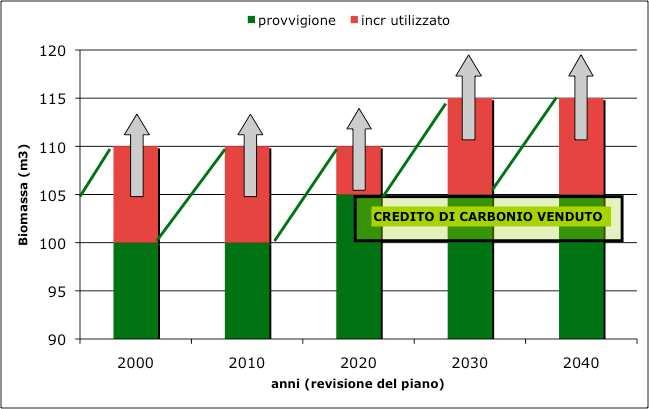 Gestione Forestale Sostenibile Permanenza: Area buffer a compensazione di eventuali rilasci di carbonio dovuti a disturbi biotici ed abiotici: rischio di propagarsi di incendi rischio di