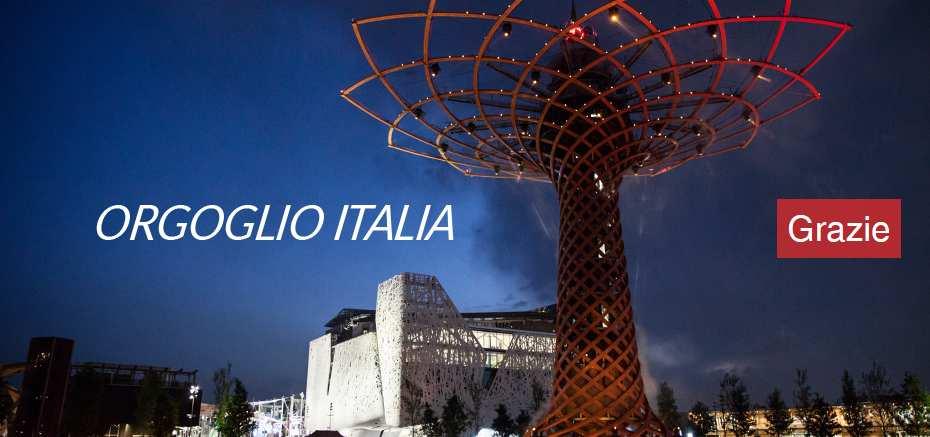 newsletter 37 novembre 2015 EXPO 2015: Padiglione Italia, le cifre del successo Il successo di Padiglione Italia è testimoniato dagli stessi numeri che parlano chiaro: oltre 2 milioni di persone