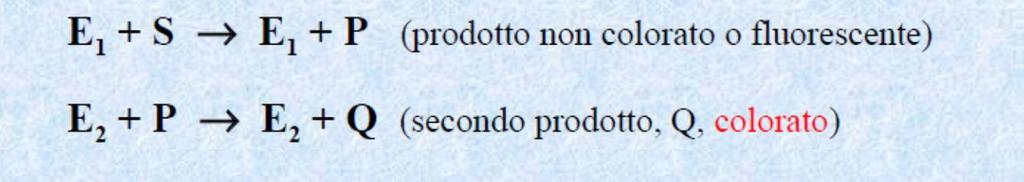 Saggi accoppiati Aspartico amminotrasferasi