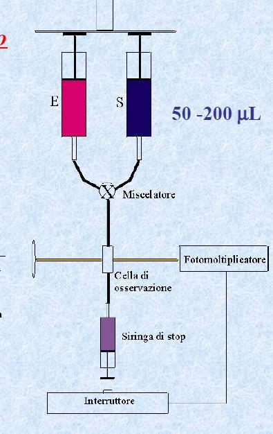 Metodo a flusso interrotto Enzima e substrato inizialmente in siringhe separate vengono rilasciati attraverso una camera di miscelazione in una terza siringa detta di bloccaggio.