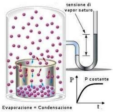 olfattiva: Chiodi di garofano Lavanda Benzolo Xilolo Sostanze che stimolano m.o. e recettori trigeminali: Canfora Piridina Cloroformio Ac.