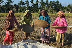 I PROTAGONISTI DEL NATALE GREEN NET, Thailandia: Cooperativa nata nel 1986 grazie alla collaborazione tra Claro (centrale equosolidale svizzera) e Surin Farmers Support (organizzazione thailandese),