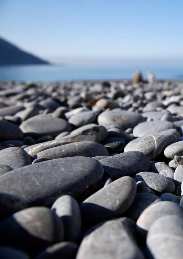 Viaggi di Istruzione A pochi Km da Genova, il Parco di Portofino offre ambienti estremamente vari e paesaggi tra i più celebri al mondo.