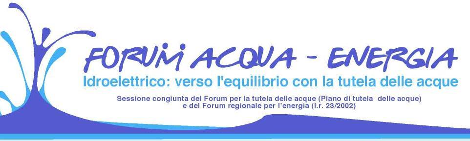 Idroelettrico e tutela delle acque in Piemonte TORINO 9 APRILE 2009 Integrare delle politiche di sviluppo energetico con la tutela del patrimonio naturale Affrontare in modo