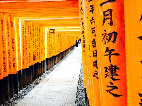 12 aprile 19: Kyoto Sistemazione: New Hankyu o similare Intera giornata di visite alla capitale culturale del Giappone: il Tempio buddhista del Padiglione d'oro, il castello Nijo, il tempio buddhista