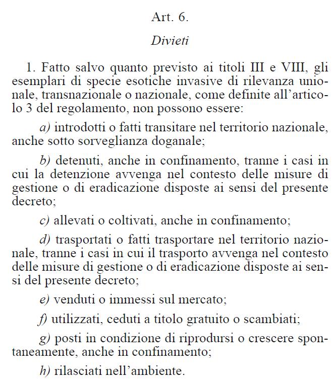 POSSIBILE LA DETENZIONE (NON IN FORMA DI DEROGA) SE SI RIENTRA NELL AMBITO DI