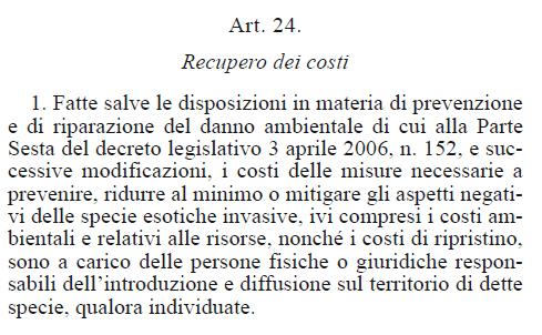 AFFERMAZIONE DEL PRINCIPIO: