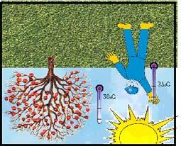 Irraggiamento Il calore può passare da un corpo a temperatura più elevata ad un corpo a temperatura più bassa anche senza l'intervento di mezzi materiali che lo conducano o lo trasportino con moto