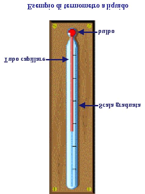 Tipi di termometri La dilatazione rende possibile la misurazione della temperatura di un corpo DILATAZIONE NEI LIQUIDI TERMOMETRI A LIQUIDO Il termometro a liquido è costituito da : un corpo di vetro