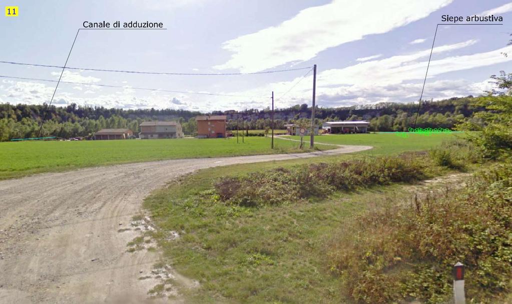 Vista dalla strada comunale in lontananza della zona dove è previsto i primo tratto di canale, integrata a ridosso della fascia alberata ripariale.