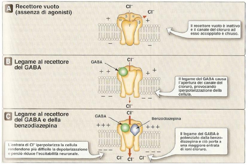 BENZODIAZEPINE -