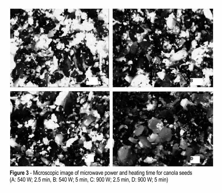 187 IV and Figure 3. Dry matter, crude fiber and ether extract contents of the samples were significantly influenced by microwave power levels (P<0.05).