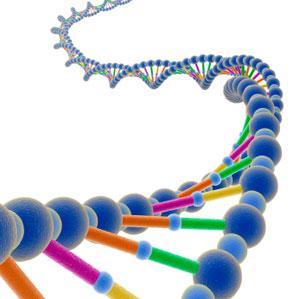 2000 - Il genoma umano La decodificazione del DNA