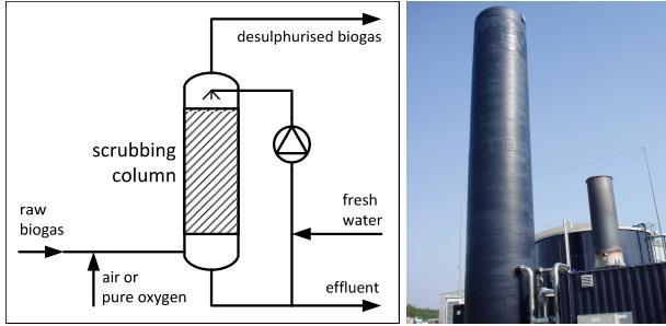 Biogas grezzo: tecnologie di