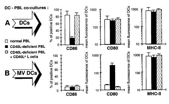 MV replication impairs CD40 signaling in DCs To determine CD80 expression whether MV wascould inhibited modify only CD40 when signaling MV-infected into the DCs Mo-DCs, were CD40L the authors studied