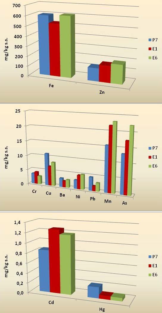 Alcuni risultati delle campagne di monitoraggio nella fase «ante operam» Biota (bioaccumulo