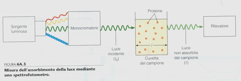 Trasmittanza = T=I/I 0 Assorbanza =