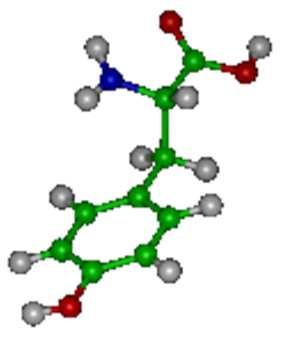 Aminoacidi aromatici Gli AA