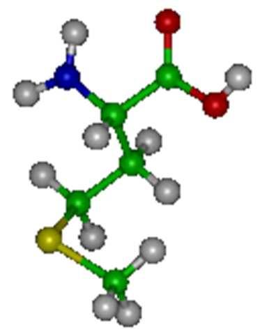 Aminoacidi contenenti zolfo Gli AA contenenti zolfo