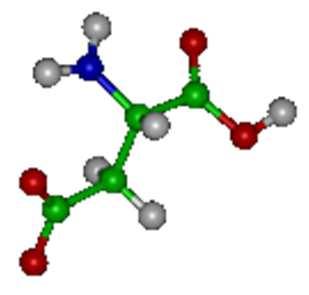 Aminoacidi acidi (e derivati) Gli AA acidi