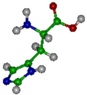 Aminoacidi basici Gli AA basici sono tre: N 2 N 2 N 2 N