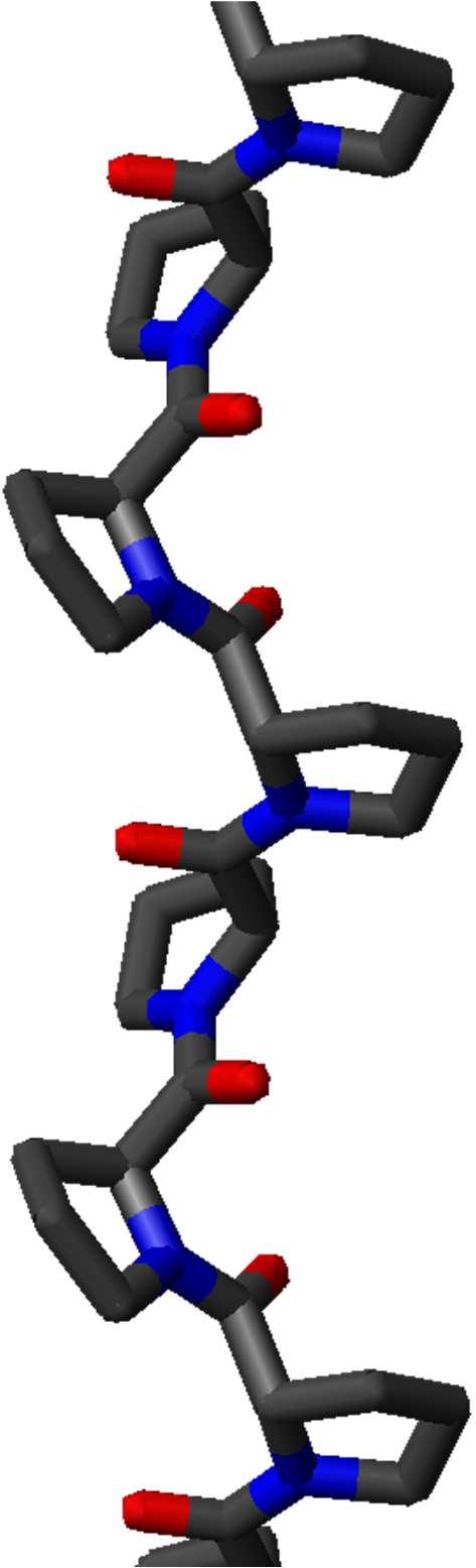 Struttura tipica di proteine fibrose (collagene, composto principalmente di prolina, idrossiprolina e glicina)