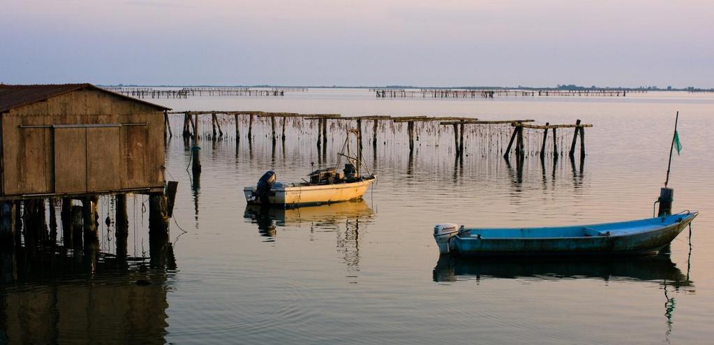 NASCE IL GRUPPO DI LAVORO INTERDISCIPLINARE PER LA TUTELA DEL DELTA DEL PO E IL CONSORZIO DI BONIFICA HA GIA PRONTO UN MASTERPLAN S alinità, ossigeno, scarso ricambio d acqua, scavi e accesso ai