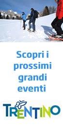 18,5% rispetto alla spesa del 2008. Una gravissima contrazione, che l O.N.F.