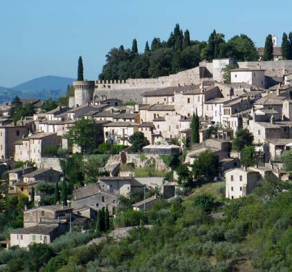 Ulivi 50/60 anni circa Lavori in campo concimazione organica, potatura manovale, sfalcio dell erba, trattamento fogliare a base di rame Varietale Moraiolo 80% Leccino 15% Frantoio 5% Raccolto