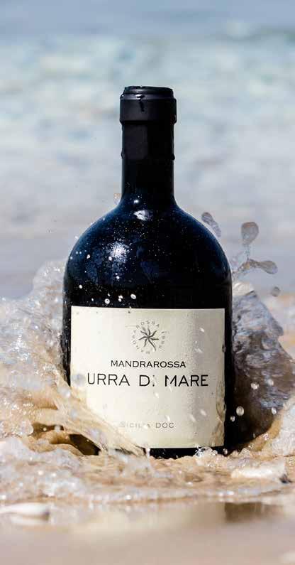 la sicilia fuori dai clichè I vini Mandrarossa Innovativi, in purezza o in blend, nascono da vitigni inusuali per il panorama siciliano, quali il Sauvignon Blanc, il Petit Verdot, l Alicante