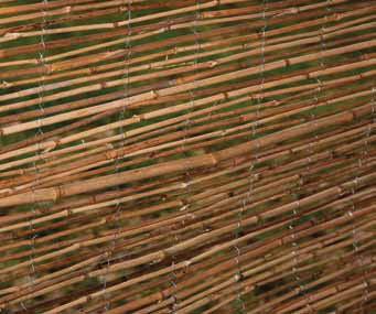 singolo Arella RIVER in bamboo 2437