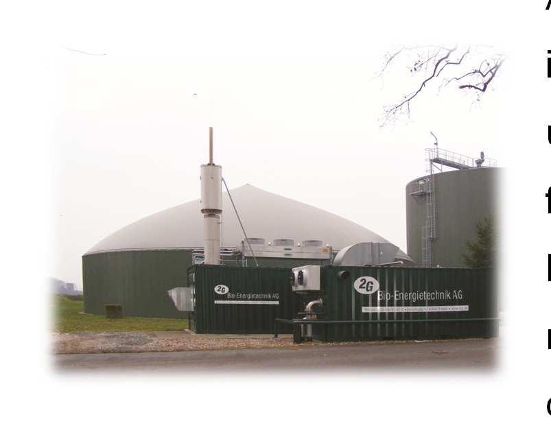 A circa 1,2 km di distanza dal caseificio viene prodotto il biogas che non