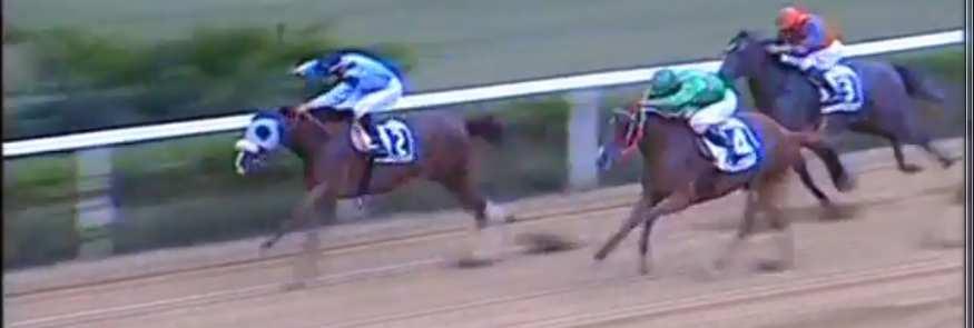 5 LITTLE ARABIAN (53.5) fgr2 - Fast company (ire) e Holamo - Mangione Ro. _3. Tagliacozzo 05.08.18 Basile Sa. 54.5 terr. sabbia st.4 reclamare 2 e.5.500 m.1000 p. P.Sabbia RAT.85.0 - VAL.85.0 - TOT.3.80 - QINI.