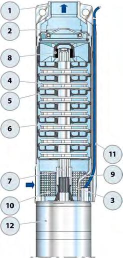 CARATTERISTICHE COSTRUTTIVE Acciaio inox microfuso AISI 304 provvisto di bocca di mandata filettata ISO 228/1, dimensionata a norme NEMA Lexan 141R per 4SR1l.