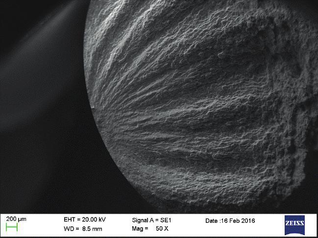 Load:220 MPa, Number of cycles: 381773 b) AA2014, Load: 200 MPa, Number of cycles: 7584518 La zona di innesco della frattura presenta le classiche fenomenologie