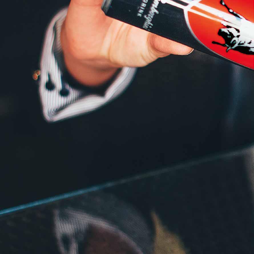 STYLE NEVER SLEEPS Il design della lattina del Tonino Lamborghini Energy Drink è stato appositamente studiato per incarnare i valori tipici del brand: originale, forte, grintoso come il celebre scudo