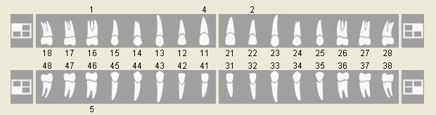 3 Uso 3.5 Gestione delle immagini Facendo clic sui simboli situati accanto ai simboli dei denti è possibile selezionare di volta in volta un quarto dei denti dello schema dentario.