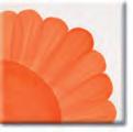 Papaya HCT 1-458 HCT 3-458 HCT 4-458 Flame Orange