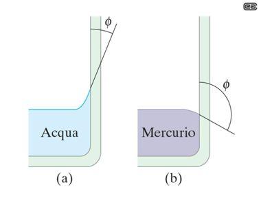 Il fenomeno della capillarità menisco θ$ Sperimentalmente osservo: Acqua sale in un tubo di vetro ( bagna il vetro ) θ$ Mercurio scende in un tubo di vetro ( non bagna il vetro ) Forza